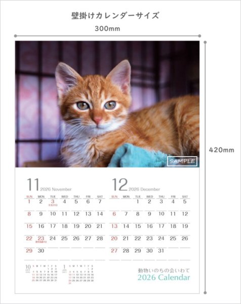 画像3: 2026カレンダー(壁掛けタイプ) (3)