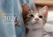 画像1: 2026カレンダー(壁掛けタイプ) (1)