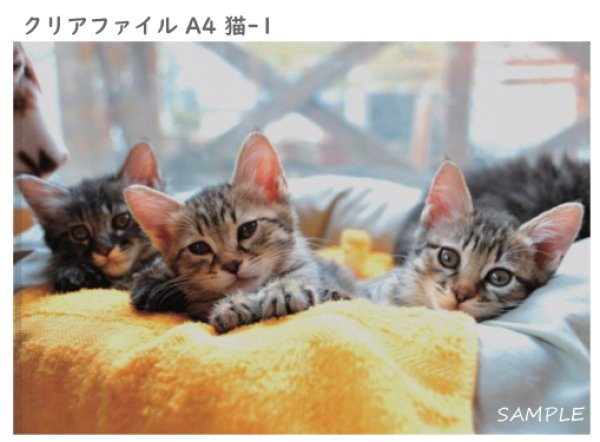 画像2: クリアファイル4枚セット(A4) (2)