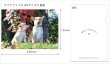 画像6: クリアファイル4枚セット(A5) (6)