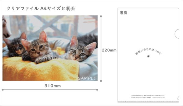 画像6: クリアファイル4枚セット(A4) (6)