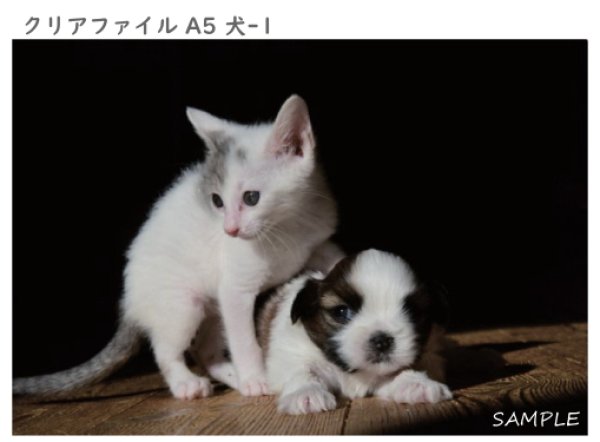 画像4: クリアファイル4枚セット(A5) (4)