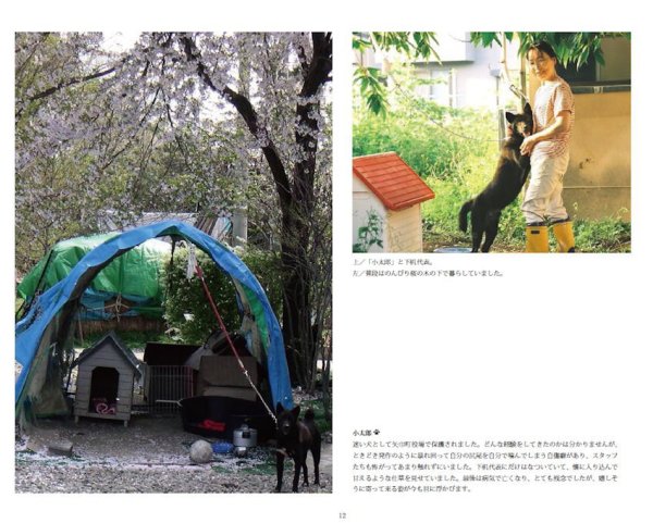 画像3: 動物いのちの会いわて写真集2014 (3)