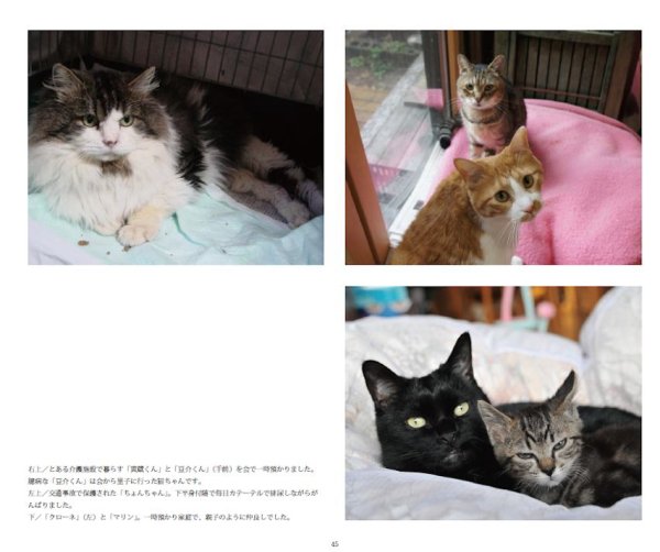 画像5: 動物いのちの会いわて写真集2014 (5)