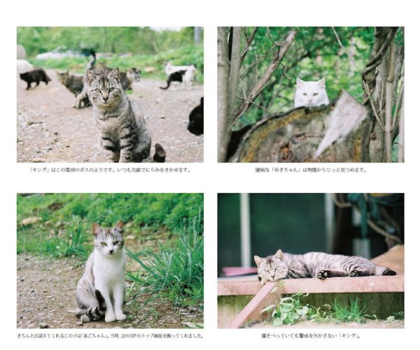 画像4: 動物いのちの会いわて写真集2014 (4)