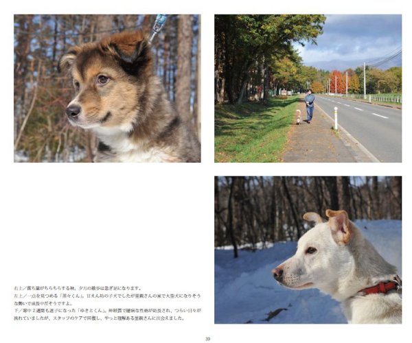 画像6: 動物いのちの会いわて写真集2014 (6)