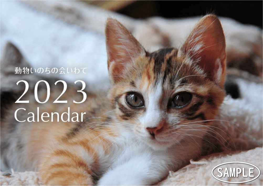 画像1: 【S】2023カレンダー(壁掛け)